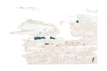 white torn paper isolated on white