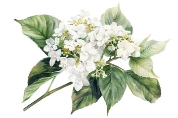 A beautiful painting of a white flower with vibrant green leaves. Suitable for home decor or botanical illustrations