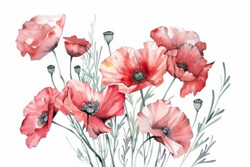A painting of vibrant red flowers on a clean white background. Perfect for adding a pop of color to any design project