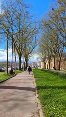 path in the park