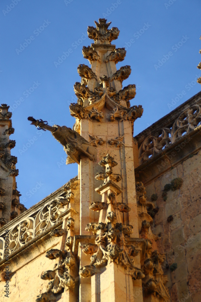 Wall mural Catedral de Segovia