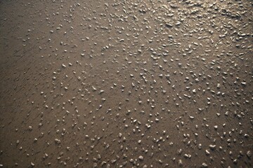 rain drops on the window