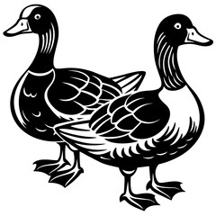 illustration of a duck