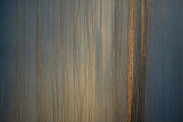 Obraz premium background