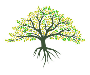 Fototapeta premium Abstract Colorful Tree Vector Icon Design. Growth and wisdom logo design. Green tree icon.