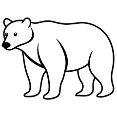 polar bear vector illustration