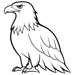 eagle vector illustration