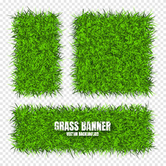 Green grass banners, background. Field, meadow texture, grassy landscape. Organic, bio, eco and natural lifestyle design elements. Ecology and environment protection. Vector illustration