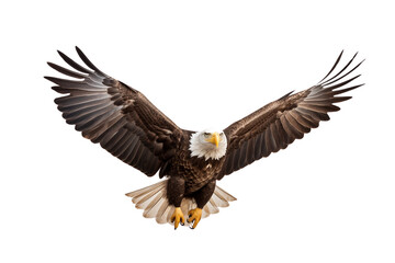 Fototapeta premium Majestic bald eagle in flight, wings outstretched, displaying power and grace against a white backdrop. Generative AI