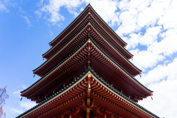春の晴れた日　高幡不動尊の五重塔（東京都日野市）