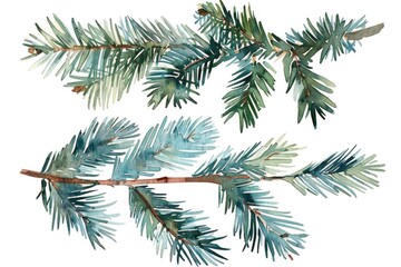 A beautiful watercolor painting of a pine tree branch. Perfect for nature-themed designs