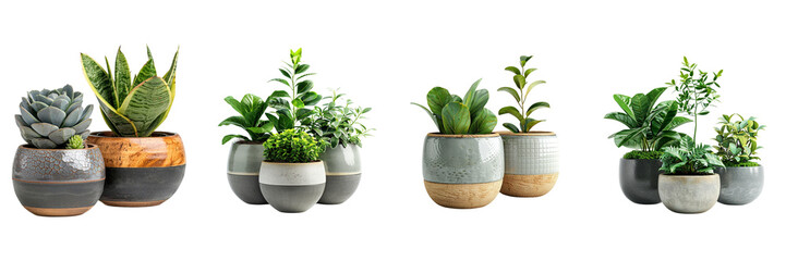  Set of A 3 Plants with Decorative Pots, isolated on a transparent background