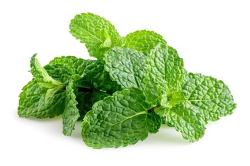 Fresh mint leaves on a clean white background, perfect for culinary or health-related projects