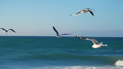 Seagulls fly across the sky, around the water surface