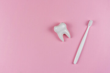 A healthy white tooth and toothbrush on a pink background. The concept of a dental clinic, dentistry, health care, oral care. Oral hygiene, professional teeth cleaning. Copyspace text