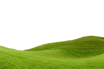 Panoramic green grass hill isolated from background.