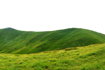 Fototapeta premium Panoramic green grass hill isolated from background.