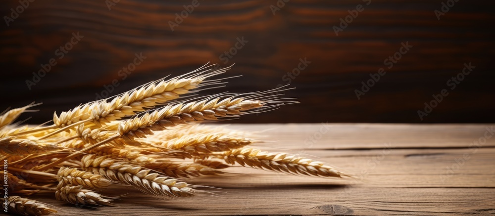 Fototapete A copy space image of wheat ears arranged on a wooden table with a sheaf of wheat in the background