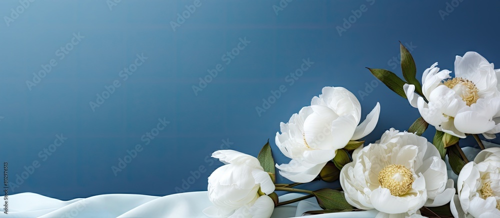 Poster a copy space image of white peonies set against a blue fabric backdrop