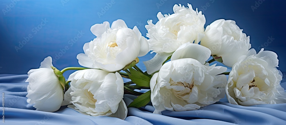 Poster a copy space image of white peonies set against a blue fabric backdrop