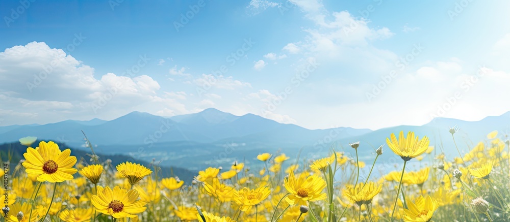 Poster a close up copy space image of yellow flowers in a field with a beautiful backdrop of mountains and 
