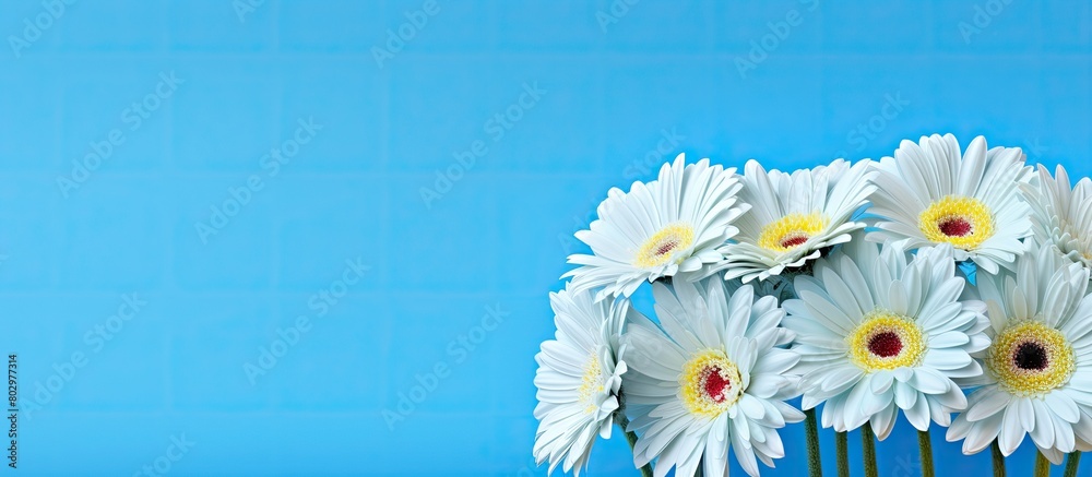 Aufkleber a beautiful bouquet of gerbera flowers displayed against a vibrant blue backdrop creating an ideal c