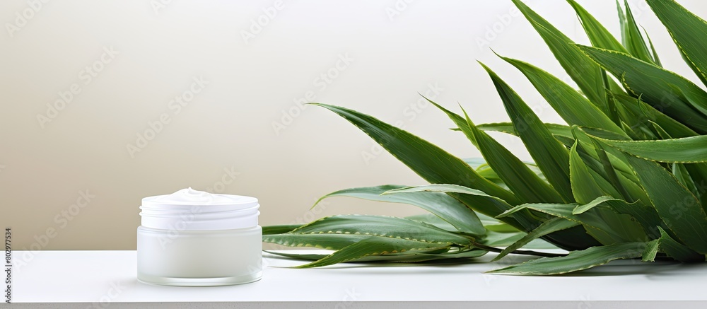 Poster a copy space image featuring white tubes of natural cosmetic products adorned with green leaves allo
