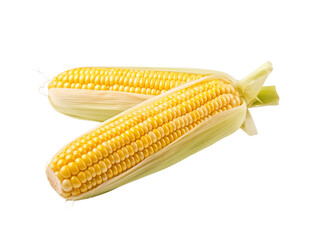 Vibrant yellow corn cob partially shucked, with fresh green leaves, isolated on a transparent background. Generative AI