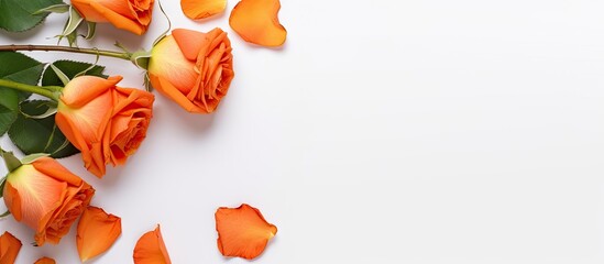 A copy space image featuring orange roses and a greeting card against a white background - Powered by Adobe