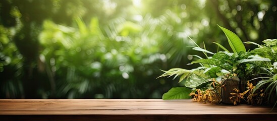 A copy space image of a wooden table surrounded by lush green decorative plants