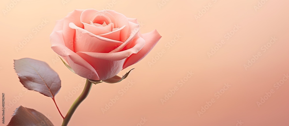 Poster A delicate pastel pink handcrafted rose captured in close up with a soft background and ample copy space for additional elements in the image