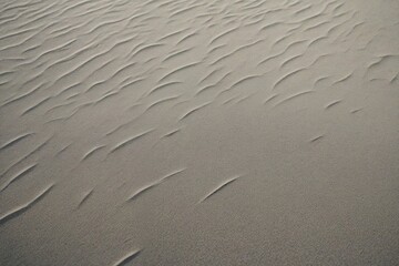 sand ripples on the beach