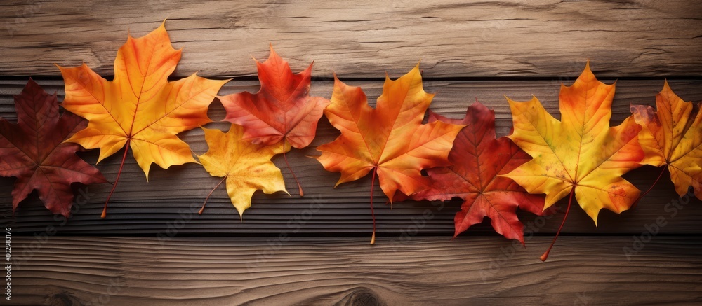Poster a close up of autumn maple leaves on a wooden background providing copy space for images