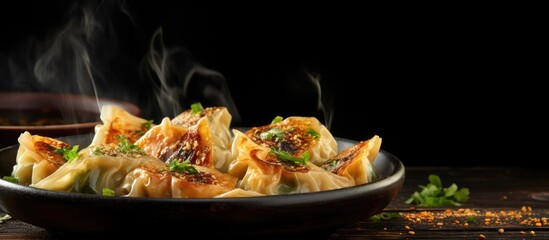 A copy space image featuring grilled Gyoza or jiaozi fried stuffed dumplings with negative space
