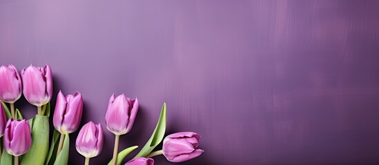 A copy space image of violet tulips against a canvas backdrop perfect for Mother s Day greetings...