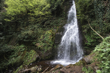 Tsablenari waterfall in Mtirala National Park, Georgia