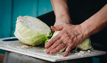 person cutting a cabbage