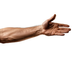 Transparent Background Arm PNG. High-Quality Isolated Limb Image for Graphic Design.
