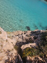 meer, beach, wasser, insel, landschaft, ozean, natur, baum, tropisch, küste, himmel, sand, anreisen, sommer, urlaub, see, Urlaub, natur, schönheit, meerliebe, Mallorca, Farben 