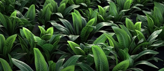 green plant seedlings in pots