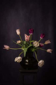 classic dark and painterly renaissance photo of pink and white tulips in glass vase 