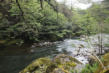 Obraz premium Chakvistskali river in Adjara, Georgia
