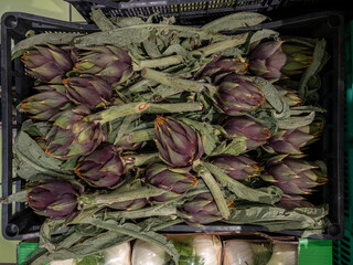 Artichokes in a box on a greengrocer stall