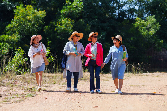 Elderly travel companions walk on dusty trail, forest canopy overhead, engaged in lively chat, their ease and laughter echoing through nature. Group of elderly friends, - Powered by Adobe