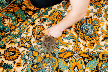 top shot in the apartment master cleaner cleans the carpet using a wool scraper professional...