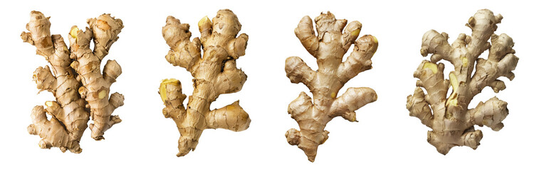 Ginger root isolated on transparent background