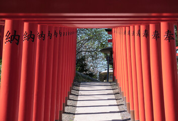 小樽市にある住吉神社の鳥居 / Torii gate of Sumiyoshi Shrine in Otaru City