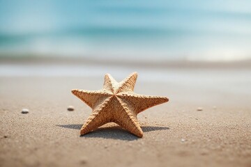 starfish on the sand