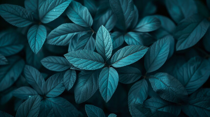A close up of a leafy green plant with a blue tint