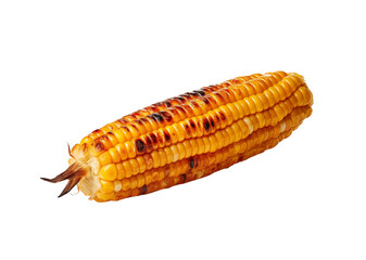 Grilled corn cobs with charred kernels on a transparent background are a delicious grilled vegetarian treat. Generative AI